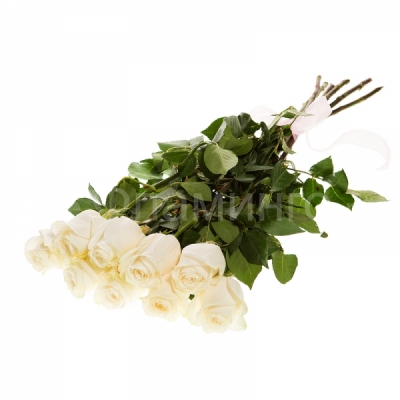 Розы код 659 Одиннадцать белых роз - <a href=